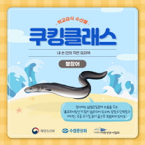 B클래스 보러가기!